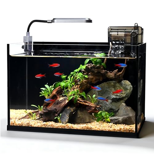 Glass Fish Tank Kit,2.8 Gallon Fish Tank,Small Aquarium, Ultra-Clear Nano Aquarium,Betta Fish Tank,Small Fish Tank,Aquarium Starter kit,Desktop Fish Tank,with Light and Filter