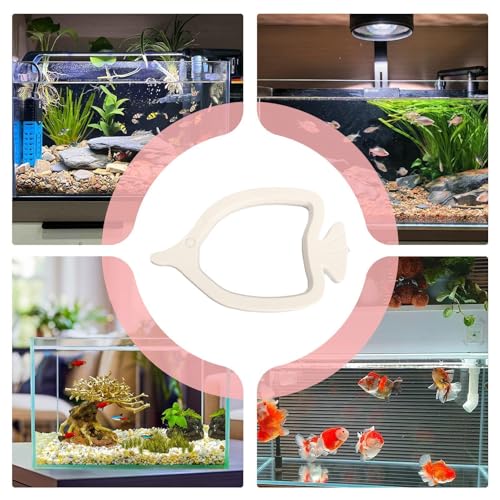Feeding Ring for Fish Tank | Floating Suction Cup Small Food Feeder,Fish Betta Feeding Ring | for Saltwater Freshwater Tanks Habitats