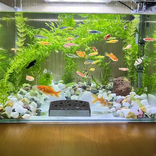 Shrimp Cave Aquarium Hideout 2pcs Black Hiding House Shelter Breeding Tube for Fish Tank Decor Suitable for Betta and Freshwater Shrimp