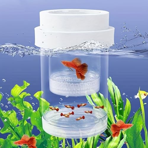 Fish Breeding Box, Floating Aquarium Hatchery Cage with EVA Buoyancy Ring, Adjustable Height Isolation Container for Guppy Fry Small Fish - color: Green, size: 5.6*3.6in