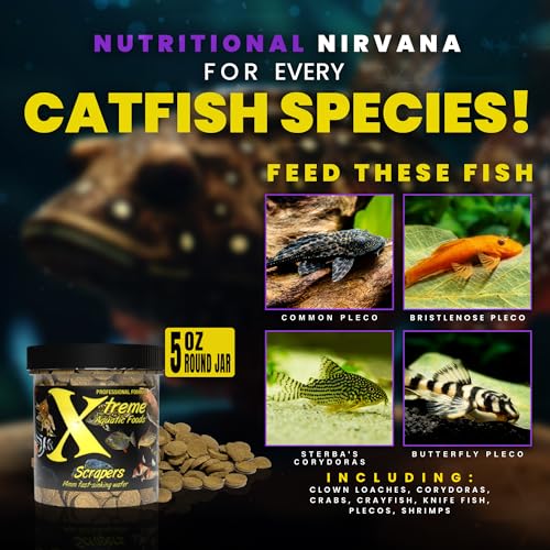Xtreme Scrapers Wafers - Premium 14mm Fast-Sinking Fish Food – Nutrient & Cellulose Rich Ideal for Nocturnal Feeders, Catfish, Plecostomus Species, and Loaches – USA Farm Grown (5oz) - size: 5oz