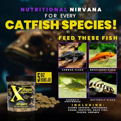 Xtreme Scrapers Wafers - Premium 14mm Fast-Sinking Fish Food – Nutrient & Cellulose Rich Ideal for Nocturnal Feeders, Catfish, Plecostomus Species, and Loaches – USA Farm Grown (5oz) - size: 5oz
