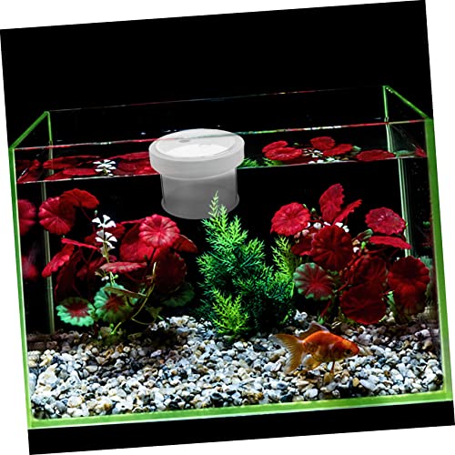 BESPORTBLE Floating Fish Tank Isolation Box Durable Acrylic Aquarium Breeding Box for Fish with Design for Guppy Shrimp Clownfish for Fish Enthusiasts