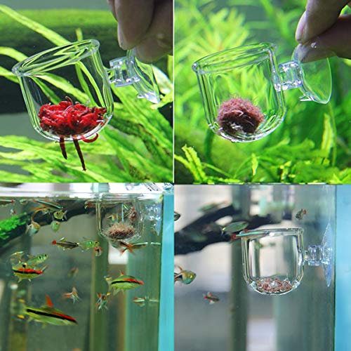 Ailindany Aquarium Glass Feeding Cone Cup Plant Cup Brine Shrimp Live Red Worm Fish Feeder for Aquariums with Suction