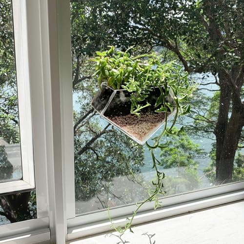 Transparent Acrylic Diamond Shape Suction Cup Window Planter, Ideal for Succulents, Cactus, Boxes or Indoor Herbs Pots, Home Decor Plant Holder or Kitchen