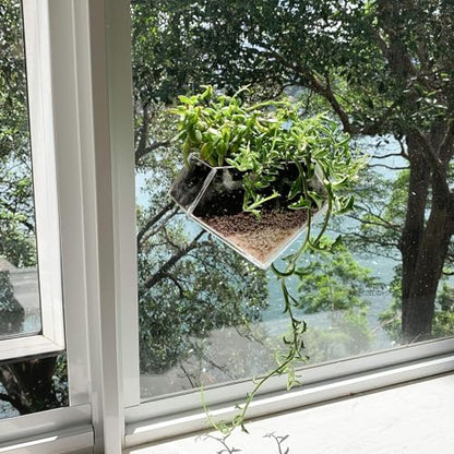 Transparent Acrylic Diamond Shape Suction Cup Window Planter, Ideal for Succulents, Cactus, Boxes or Indoor Herbs Pots, Home Decor Plant Holder or Kitchen