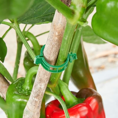100Pcs Garden Vine Plant Support Clips,Plastic Fixing Clips for Securing and Training Climbing Plants,Tomatoes,Grapes,Vine Vegetables and Potted Plant (100, Green)