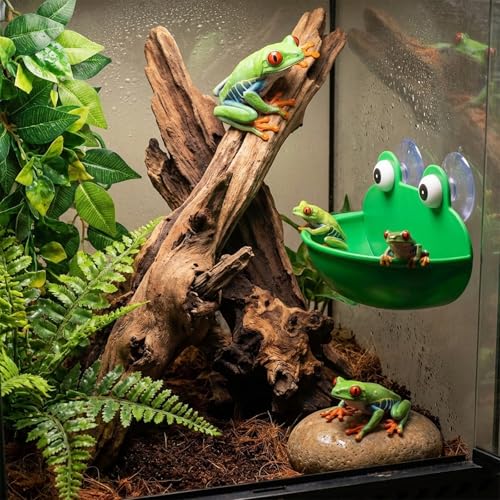 2pcs Frog Habitat with Suction Cup Frog Dish Holder Cute Fish Tank Decoration Lovely Suction Cup Soap Dish Holder Frogs Terrarium Decor for Tree Frogs Tadpole Small Aquatic Animal