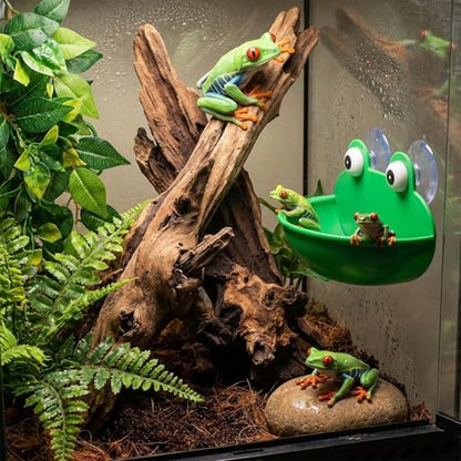 2pcs Frog Habitat with Suction Cup Frog Dish Holder Cute Fish Tank Decoration Lovely Suction Cup Soap Dish Holder Frogs Terrarium Decor for Tree Frogs Tadpole Small Aquatic Animal