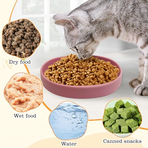 Silicone Cat Bowl 2 Pcs Non-Slip Cat Dish for Dry Food and Wet Food Shallow Relief Whisker Fatigue Pet Bowls Plates Set for Kittens, Small Cats and Dogs (Red) - color: 2 Pcs - (Red)