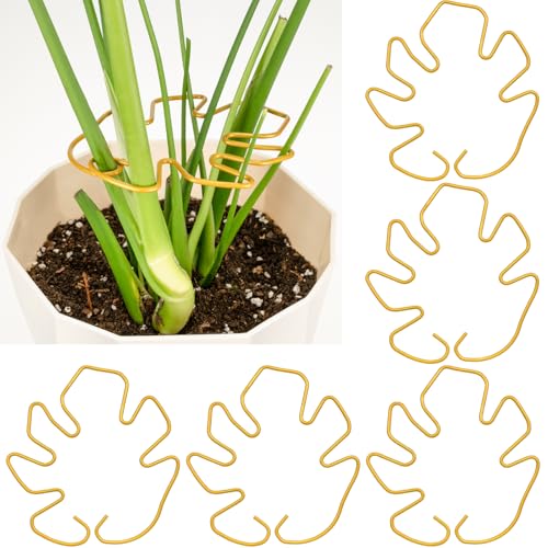 5PCS Monstera Plant Support, Metal Plant Supports Plant Stem Holder Durable Sturdy Plant Stabilizer for Indoor Plants Climbing Plants Outdoor Moss Pole Thriving Growth (Gold) - size: 5.9*5.9/5