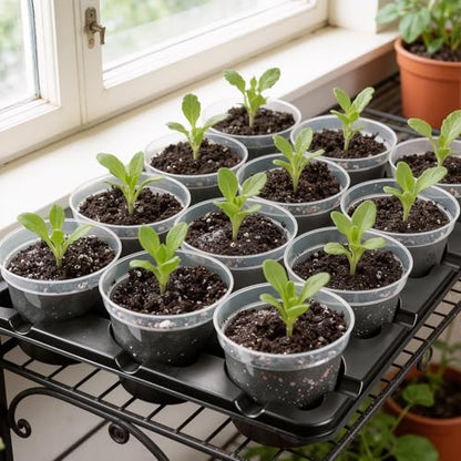 4 Inch Seed Starting Trays with Clear Nursery Pots, 2-Pack 12-Cell Seedling Starter Trays & 4" Nursery Pots 24 Pcs with Drainage, Plant Starter Germination Trays for Indoor Outdoor Growing - size: 4 Inch, style: 2 Pack Seed Starter Tray+Nursery Pots