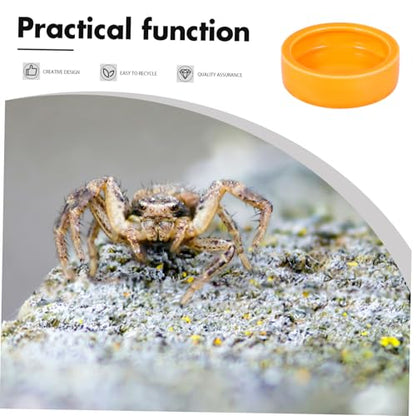 Escape Ceramic PET Feeding Bowl for Reptiles and Small Animals Round Shrimp Food Basin Water Dish Non-Tipping Design for Lizards Crabs and Other Crawlers (Orange)