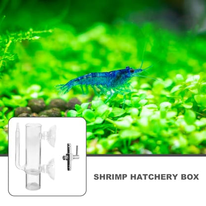 VOSAREA 1 Set Glass Shrimp Hatchery Box Suction Incubator for Brine Shrimp Eggs Fish Breeder Container with Isolation Design Easy to Clean for Aquatic Farming