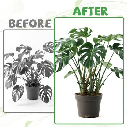 12 Pcs Plant Stem Holders, Plastic Invisible Plant Support Stakes Indoor Reusable Climbing Houseplant Stem Supports Hook Growth Accessories for Indoor Home Garden