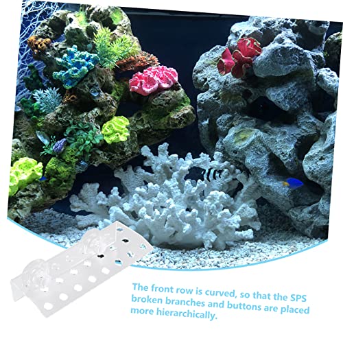 BESPORTBLE Frag Rack Support Holder for Aquarium Acrylic Bracket Fish Tank Decorations