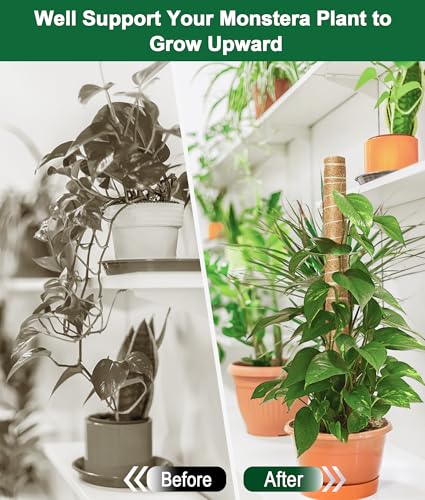 Moss Pole 126 Inch, 6 Pack 21" Monstera Plant Support for Climbing Potted Live Plants Indoor, Stackable Coco Coir Moss Sticks Monstera Stakes for Pothos Philodendron, with Garden Labels & Ties