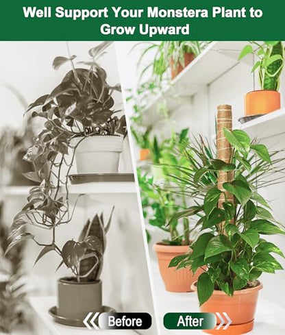 Moss Pole 126 Inch, 6 Pack 21" Monstera Plant Support for Climbing Potted Live Plants Indoor, Stackable Coco Coir Moss Sticks Monstera Stakes for Pothos Philodendron, with Garden Labels & Ties