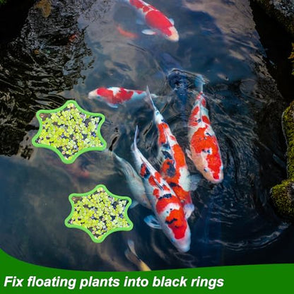 PEUTIER 5pcs Aquarium Floating Plant Rings, Foam Floating Plant Corral Flower Shaped Fish Feeding Rings Fish Tank Duckweed Food Ring for Intercepting Floating Plants (Green)