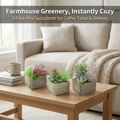 Succulent Plants Artificial, 3 Pack Small Fake Plants in Wood Pot for Home Decor, Farmhouse Artificial Plants Indoor for Living Room Bathroom Bedroom Office Kitchen Desk Wedding Coffee Table Decor
