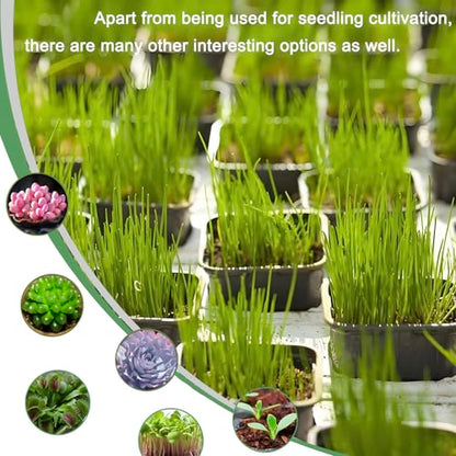 2 Inch Square Nursery Pots, 50 Pack (25 Clear + 25 Black) Seedling Starter Pots, Plastic Plant Pots with Drainage Holes, for Seed Germination, Root View, and Light Blocking - color: Clear + Black (50pcs)