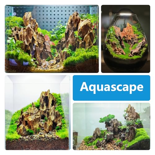 Natural Stone 20lb Aquarium Rocks for Aquarium Landscaping Models and PH Neutral Rocks Aquascaping Stones for Terrariums-2-8 inches