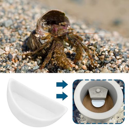 ECSiNG 6PCS Hermit Crab Mini Ceramic Dish 4.21x2x1.05cm Semicircle Shape Reptile Food Bowl for Spider Hermit Crab Tarantula Millipede White