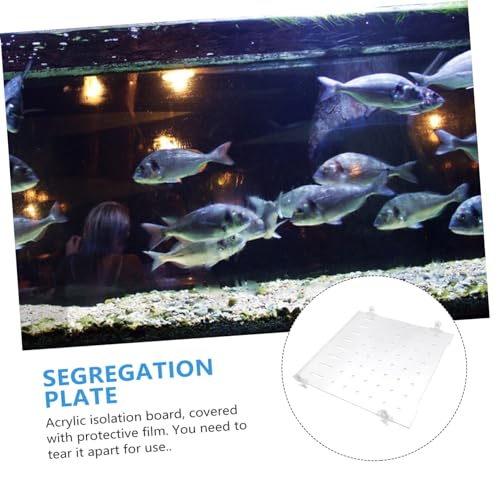 ORFOFE 1set Fish Tank Segregation Board Easy Install Isolation Plate for Mixed Breeding Fixed Clips Increases Fish Survival Rate by Separating Aggressive Species