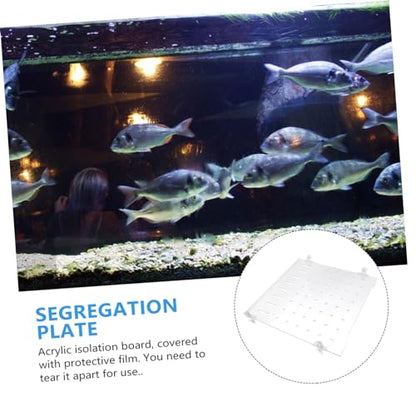 ORFOFE 1set Fish Tank Segregation Board Easy Install Isolation Plate for Mixed Breeding Fixed Clips Increases Fish Survival Rate by Separating Aggressive Species