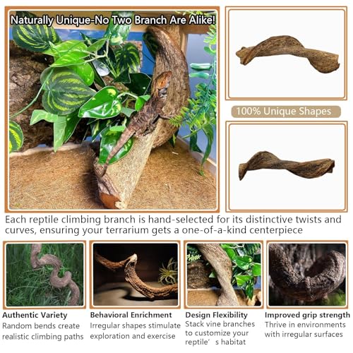 2Pcs Reptile Climbing Branches Decor,2.5-3.25" Think Snake Climbing Branch,Gecko Climb Wood,Lizard Bold Forest Branch,Tank Habitat Tree Trunk Decorations for Bearded Dragons,Chameleons,Frogs - size: 2PCS|XL:2.50-3.25"D,13"L