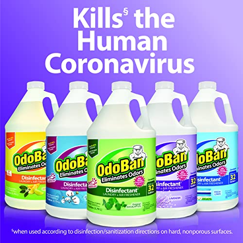 OdoBan Disinfectant Odor Eliminator and All Purpose Cleaner Concentrate, Original Eucalyptus Scent, 1 Gallon - size: 128 Fl Oz (Pack of 1)