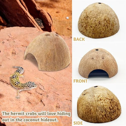 6 PCS Natural Coconut Reptile Hideouts Lizard Coco Hut Hermit Crab Hut Aquarium Fish Hide Cave Spider Snail Climber Toys - size: 6 PCS Smooth Surface
