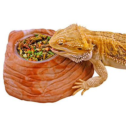 Stepping Stone Feeding Dish - Bearded Dragon Tank Accessories, Turtle Tank Accessories - Large Size