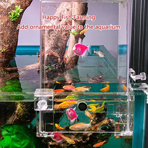 Fish Breeder Box for Fishtank Acclimation Hatchery Incubator Landscaping Aquarium Tank Incubator