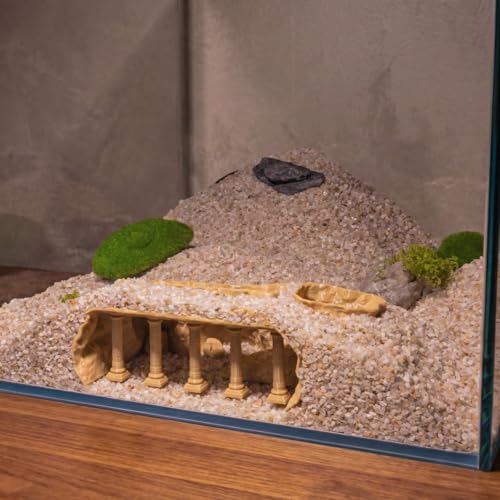 Roman Column Aquarium Cave, 3D Print Fish Hideout for Aquarium Fish Tank Decor, for Viewing Shrimp, Betta Fish, Corydora, Catfish, Pleco (White, M)