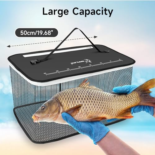 SANLIKE Floating Fishing Basket Collapsible Fishing Net Cage, Rubber Coated Net Fish Basket for Live Caught Fish Minnows Bait Bucket Minnow Trap, 24L/40L/59L，Black/Grey - color: M-40L-Black