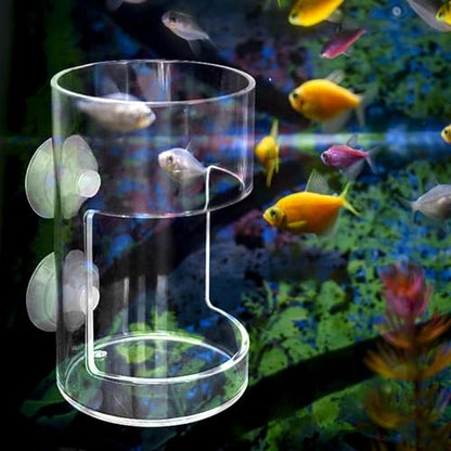 Fish Feeder Acrylic Dish Tray Fish Tank Prevent Water Turbulence Assembled Shrimp Feeder Worm Feeder Cherry Shrimp, Cylinder - color: Cylinder
