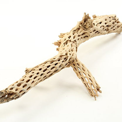 Koyal Wholesale 18-20" Cholla Wood Aquarium Leopard Gecko Tank Accessories Untreated Large Driftwood for Aquarium Wood Hermit Crab Accessories Drift Wood for Shrimp Tank Gecko Accessories
