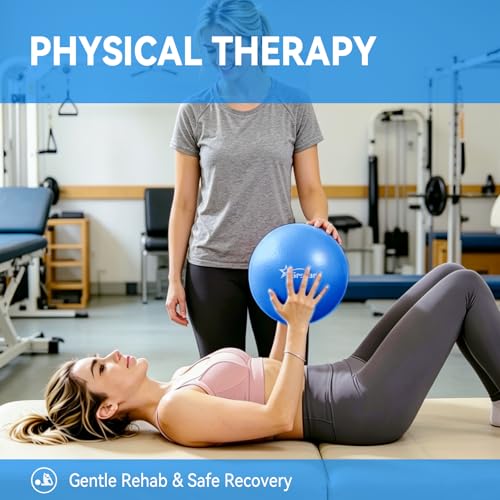 9 Inch Pilates Ball, Mini Exercise Ball for Yoga, Barre & Fitness Training - color: 1Purple