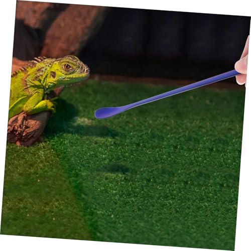 BESPORTBLE 2pcs Stainless Steel Reptile Food Spoon Pet Feeding Tool for Lizards Geckos and Small Animals Design Easy to Use and