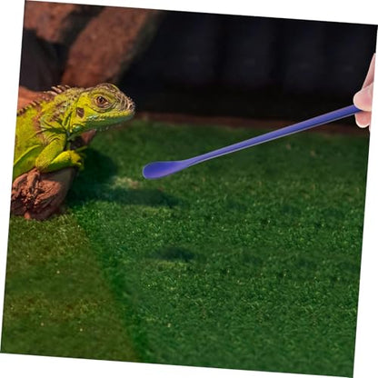 BESPORTBLE 2pcs Stainless Steel Reptile Food Spoon Pet Feeding Tool for Lizards Geckos and Small Animals Design Easy to Use and