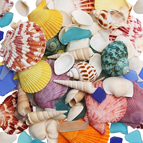 LUCKY BABY Sea Shells Mixed with Sea Glass 7 Ounces for Crafts, Natural Scallop Seashells for Decorating, Seaglass Decor for Fish Tank Vase Fillers Home Deco, Beach Themed Party Wedding