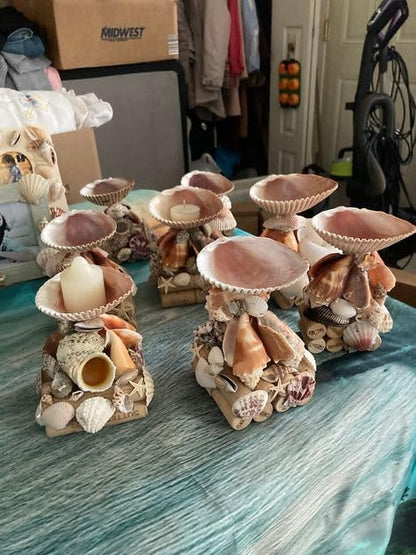 Large Cockle Sea Shells, 2.5"-4.5" Various Sizes Natural Seashells for Baking Shells Beach Themed Party DIY Crafts Fishtank Ocean Home Wedding Decorations (2)