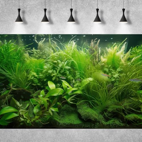 Underwater Aquarium Background Diverse Collection of Aquatic Plants Fish Tank Background Lush Green Seagrass Aquarium Terrarium Background Jungle Style Reptile Habitat Background Vinyl 30x12in - color: Grass Green, size: 30(W)x12(H)in
