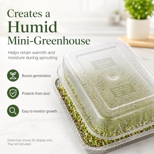 Sprouts Growing Acrylic lid for 2-Tier 10.4 inch Trays, Microgreens Growing lid, Seed Sprouting Sprouts for Beans Alfalfa Broccoli Wheat Grass - size: 10.7"L × 7.87"W × 2.17"H Lid