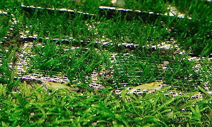 5PCS 10x20cm/4x8inch Stainless Steel Aquarium Moss Net