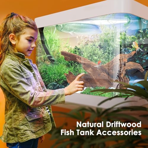 Natural Large Aquarium Driftwood for Fish Tanks & Reptile Terrariums – 100% Safe Fish Tank Decorations, 2-Piece 10-14 Inch Unique Twisted Branches Low Tannin, Easy to Sink