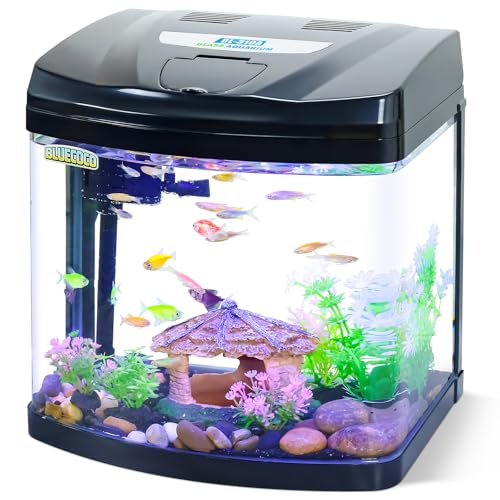 3 Gallon Glass Aquarium Starter Kit with Flip-Top Feeding Port for Betta Fish: Crystal Clear 360° Viewing, Eco-Cycle Filtration, Air Pump, and LED Lighting