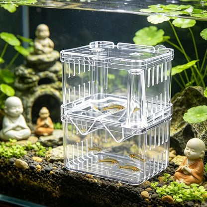 Breeder Box for Fish Tank, Transparent Floating Acclimation Hatching Incubator Box with Suction Cups, for Shrimp Guppy Platy Nursery, Hotel Lobby pet Store Cafe Aquarium Decor