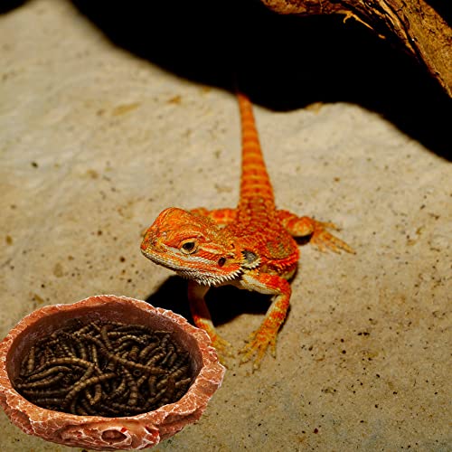 Small Reptile Water Dish Food Bowls, 2 Pack Reptile Feeding Dish for Hermit Crab Bearded Dragon Lizard Leopard Gecko Tortoise Frog